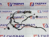 Проводка двери передней правой Geely Emgrand EC7 1017025974