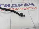 Антенна Geely Tugella 6600181764