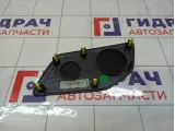 Решетка динамика в торпедо Geely Tugella 6600111397