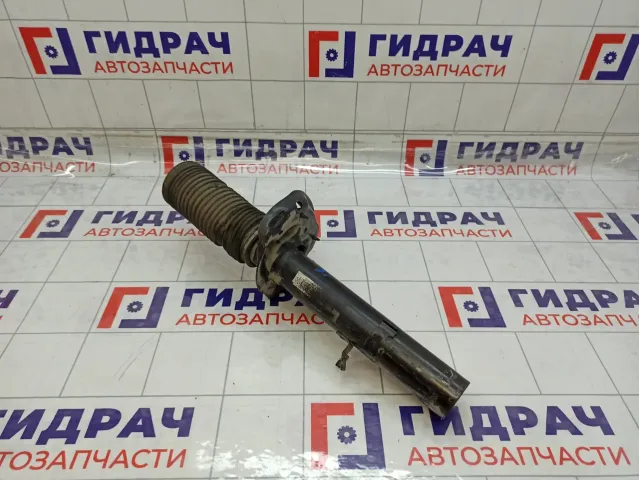 Амортизатор передний левый Geely Tugella 8891018818