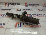 Амортизатор передний левый Geely Tugella 8891018818