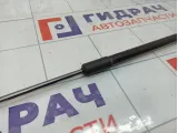 Амортизатор капота левый Geely Tugella 6600000402