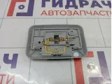 Плафон салонный Great Wall Hover H3 4123100K0000CV