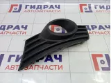 Решетка в бампер левая Great Wall Hover H3 2803311K24