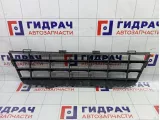 Решетка в бампер центральная Great Wall Hover H3 2803306K24