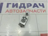 Клапан кондиционера Great Wall Hover H5 8106000K00C1