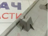 Накладка двери багажника Great Wall Hover H5 5506111K80