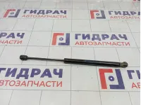 Амортизатор двери багажника Haima 3 HA0162621M1