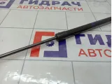 Амортизатор капота Haval F7 8402128XKQ00A