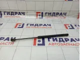 Амортизатор капота Haval F7 8402128XKQ00A