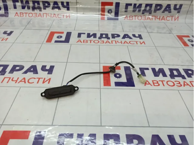 Кнопка открывания багажника Haval F7 3608300XKQ00A