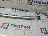 Рейлинг левый Haval F7x 25709100XKQ02A