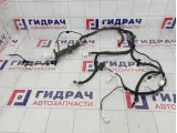 Проводка двери передней левой Haval H6 4002500AKZ54B