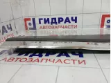 Накладка двери передней левой Haval H6 5006411XKZ36A