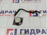 Динамик в торпедо Haval H6 7911500XKZ36A