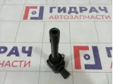 Катушка зажигания Haval H6 F01R00A136