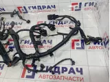 Проводка двигателя Haval H6 4001100XKZ20A