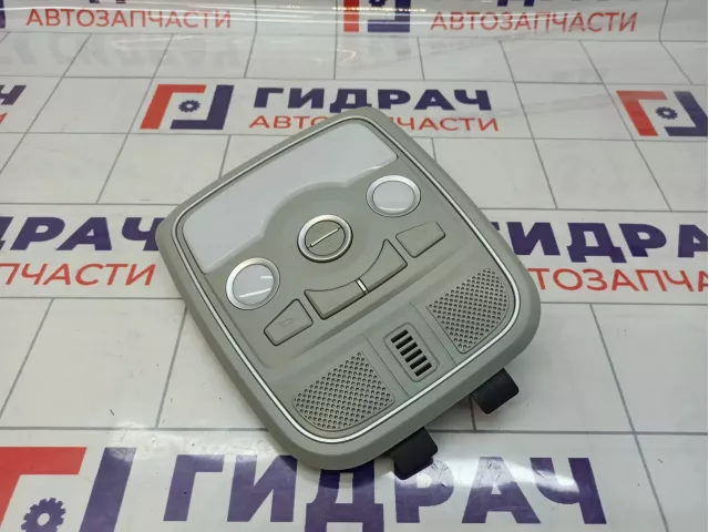 Плафон салонный Haval H6 4124400XKZ16AD4