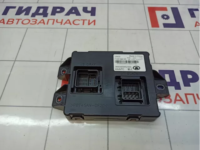 Блок электронный Haval H6 3600300XKZ36A