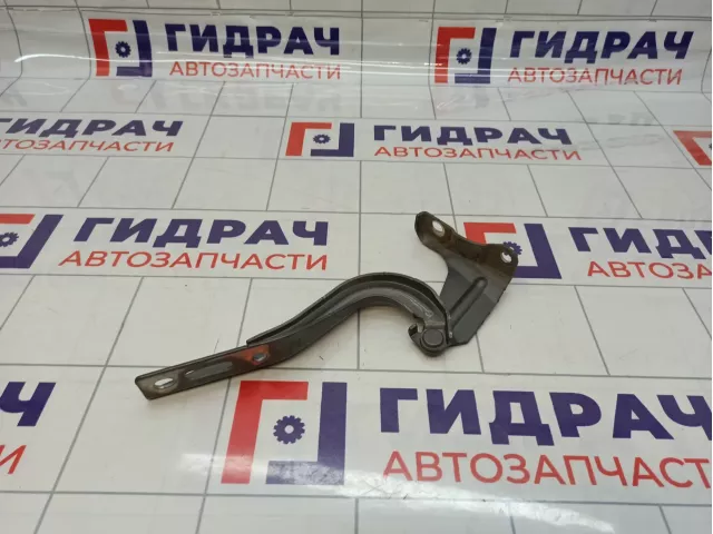 Петля капота левая Haval H6 8402300XKZ36A