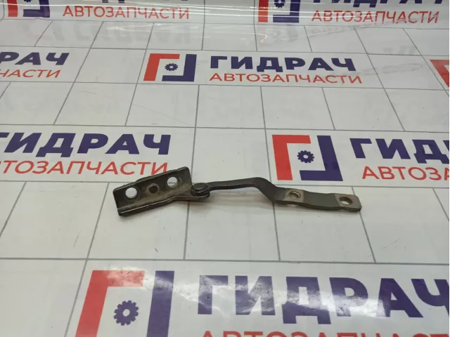 Петля двери багажника левая Haval H6 6306300XKZ36A