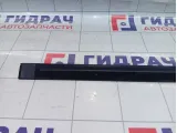 Накладка двери задней левой Hyundai Accent (LC) 8773125000CA