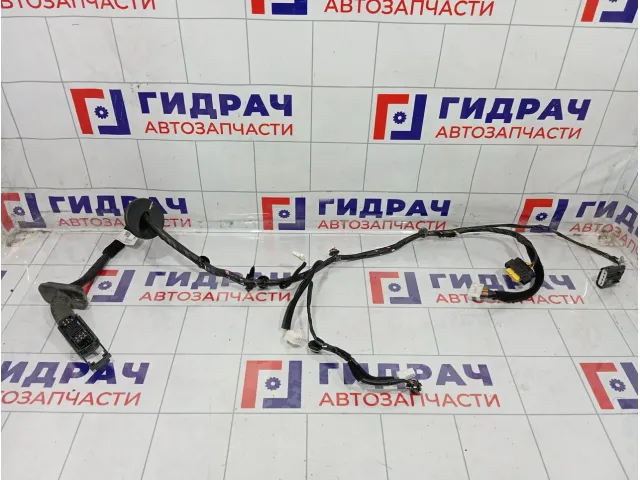 Проводка двери передней левой Hyundai Creta 91600-M0080