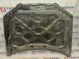 Капот Hyundai Elantra (XD) 66400-2D520