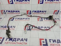 Проводка двери задней левой Hyundai Elantra (HD) 91650-2H020