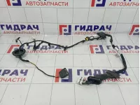 Проводка двери задней правой Hyundai Elantra (AD) 91665-F3010-AB