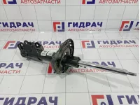 Амортизатор передний правый Hyundai Elantra (AD) 54661-F3800