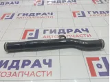 Трубка системы охлаждения металлическая Hyundai Equus (VI) 254603CGA0
