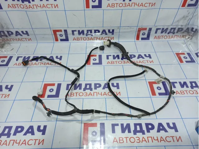 Проводка двери задней левой Hyundai Getz 91820-1C021