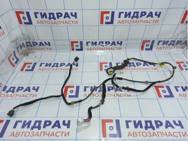 Проводка двери задней правой Hyundai Getz 91830-1C021