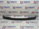 Накладка переднего бампера Hyundai Getz 86523-1C300