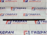 Накладка стекла переднего левого Hyundai Grand Starex/Starex H1 (TQ) 822314H000