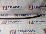 Молдинг крыши левый Hyundai Grand Starex/Starex H1 (TQ) 872314H000