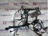 Проводка подкапотная Hyundai Grand Starex (TQ) 91204-4H025