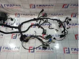 Проводка подкапотная Hyundai Grand Starex (TQ) 91400-4H055