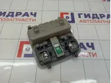 Плафон салонный Hyundai Grand Starex (TQ)