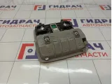 Плафон салонный Hyundai Grand Starex (TQ)