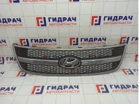 Решетка радиатора Hyundai Grand Starex (TQ) 86560-4H000
