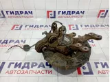 Кулак поворотный задний левый Hyundai I30 (FD) 52710-1H500