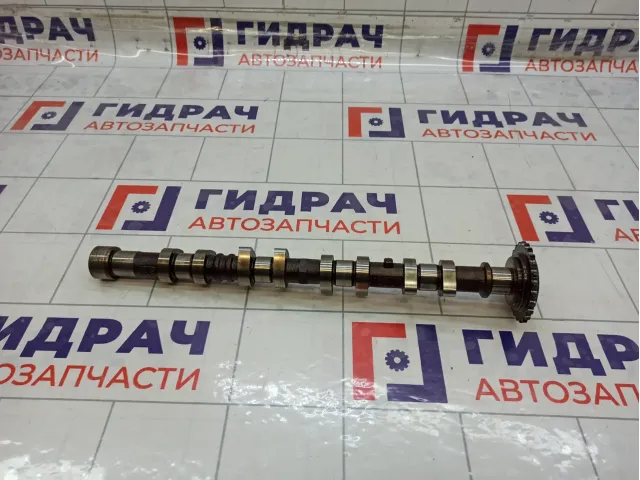 Распредвал выпускной Hyundai Matrix 2420026004