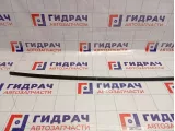 Молдинг крыши левый Hyundai Matrix (FC) 87231-17000