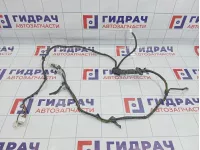 Проводка двери багажника Hyundai Matrix (FC) 91910-17650