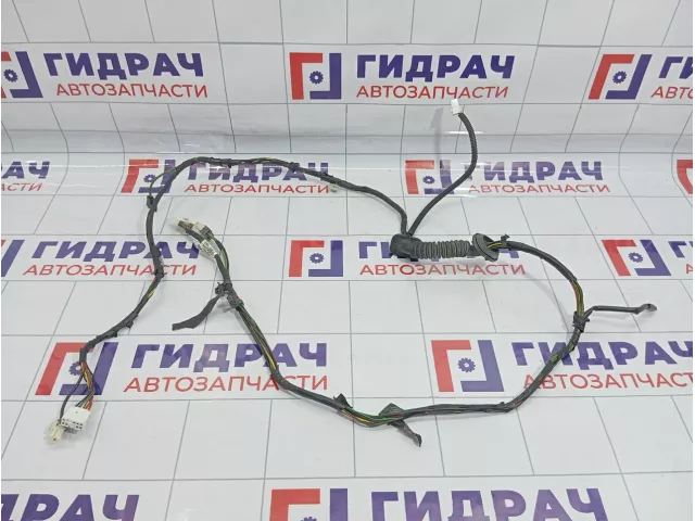 Проводка двери багажника Hyundai Matrix (FC) 91910-17650