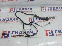 Проводка двери задней левой Hyundai Matrix (FC) 91830-17020