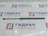 Амортизатор двери багажника Hyundai Matrix (FC) 8177010030