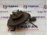 Кулак поворотный передний левый Hyundai Porter 56716-43011